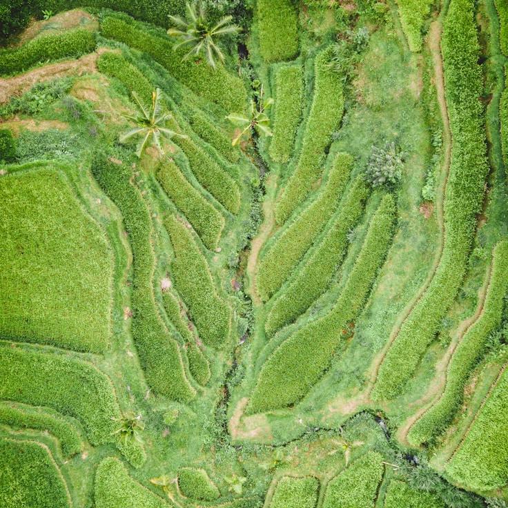 Outdoor terrace seating suitable for families in Toronto