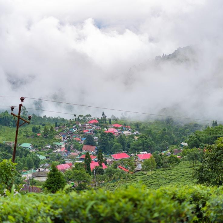 Family terraces and cafés for calm evenings in Toronto